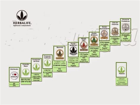 herbalife evolution